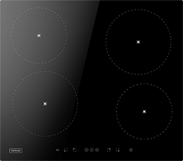 Induktionsfeld Reparatur Neustadt